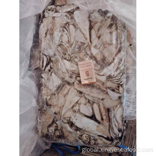 Frozen Arrow Squid Frozen Arrow Squid ( Nototodarus Sloanii)300-400g Factory